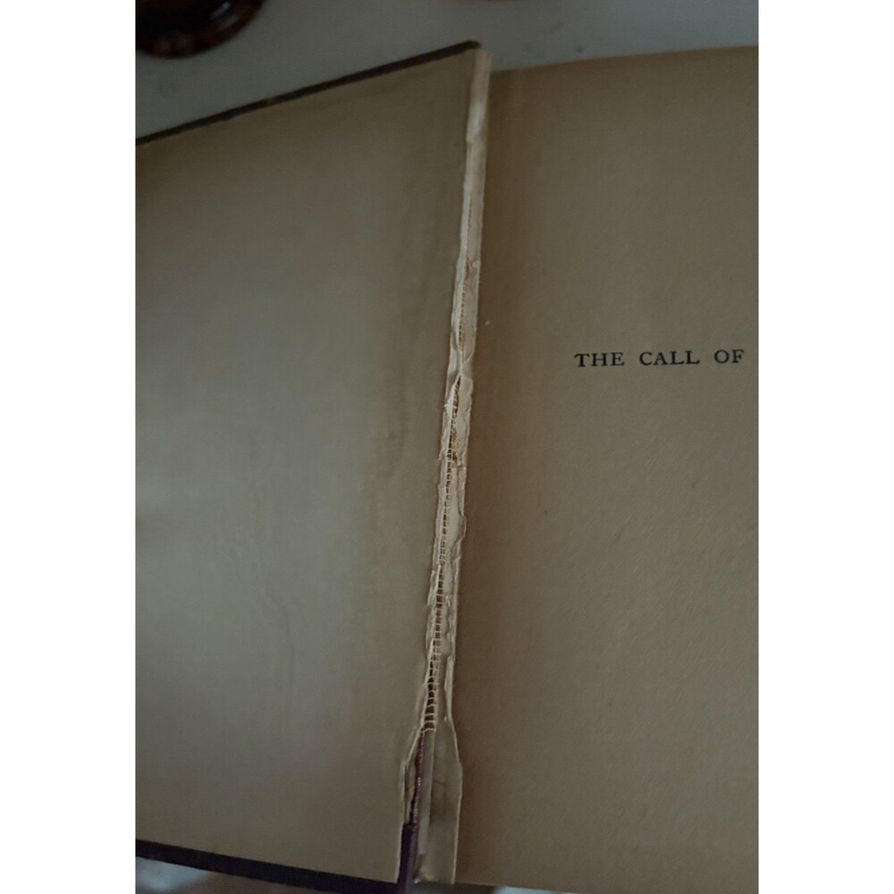 Antique Classic The Call of the Wild Jack London 1915 Hardcover Illustrated Book - Picture 12 of 12